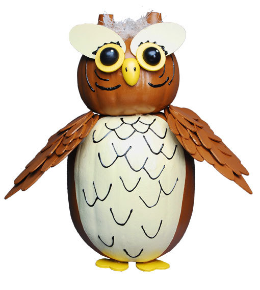 Owl Pumpkin Owl Pumpkin