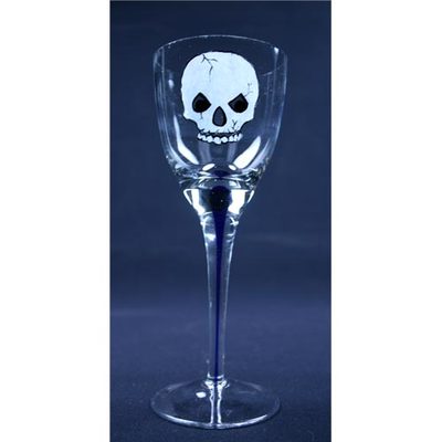 Skull Painted Wine Glass