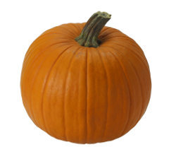 Slow cooker pumpkin pie pudding