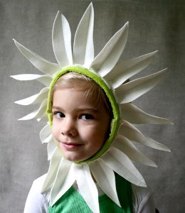 Daisy Halloween Costume Daisy Halloween Costume