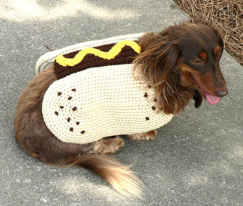 long hair hot dog dog