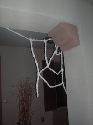 DIY Spider Webs