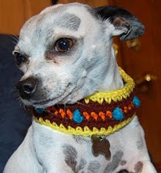 Retro Dog Collar