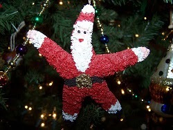 Starfish Santa Ornaments Starfish Santa Ornaments