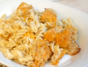 Cheesy Chicken and Noodles