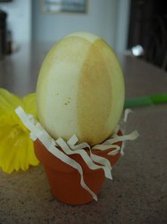 Eco Friendly Easter Egg Dye