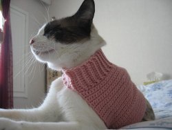 Mock Turtleneck Sweater for Cats 