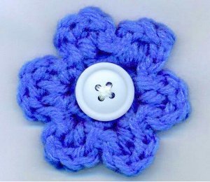 The 5 Minute Flower The 5 Minute Flower