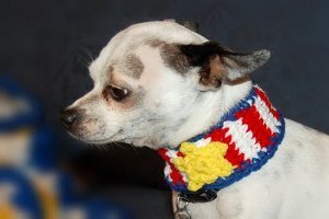 Slip On Patriotic Dog Collar