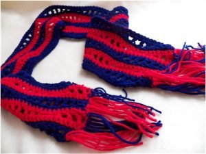 Special Olympics Scarf Project/Wave Scarf