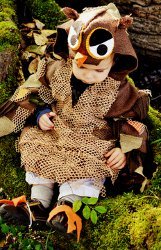 It's a Hott Owl Costume