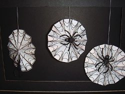 Dangling Spiderweb Rosettes