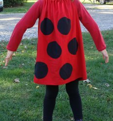 Quick and Easy Ladybug Costume Quick and Easy Ladybug Costume