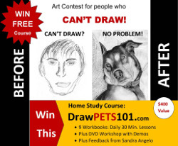 Beginner's Drawing Course with Sandra Angelo