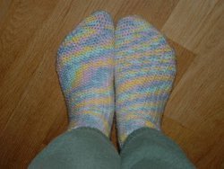 Small Shell Socks
