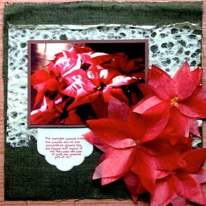 Poinsettias Layout Poinsettias Layout