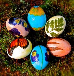 Naturally Inspired Easter Eggs