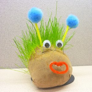 How To Create Your Very Own Chia Pet!
