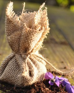 Flower Seed Pockets Flower Seed Pockets