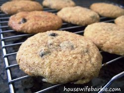 Sugar Free Chocolate Chip Cookies