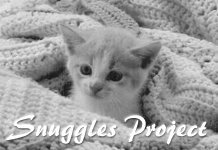 Snuggles Project