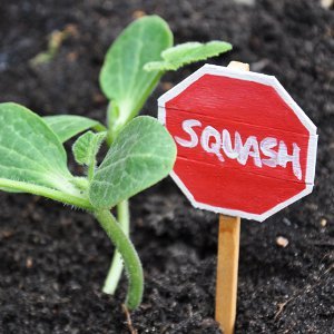 City Planning Garden Markers City Planning Garden Markers