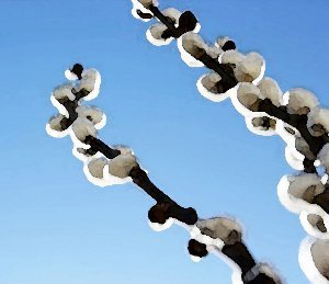 Pussywillow Color-by-Numbers