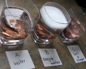 Penny for Your Thoughts Experiment Penny for Your Thoughts Experiment