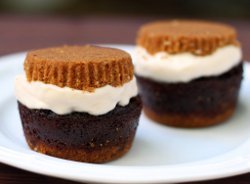S'mores Cupcake Ice Cream Sandwiches