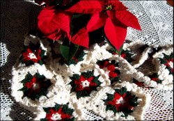 Christmas Poinsettia Scarf