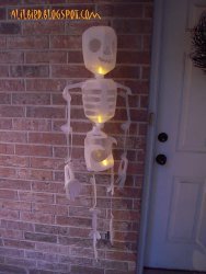 Light Up Jug Skeleton
