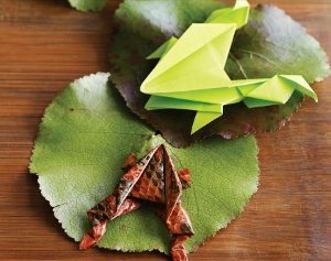 Origami Frog Design
