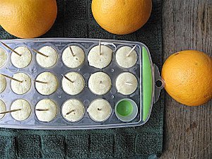 Orange Vanilla Frozen Yogurt Mini Pops