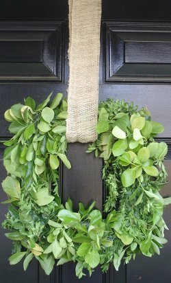 Boxwood Leaf Wreath