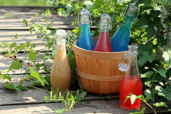 Homemade Shirley Temples