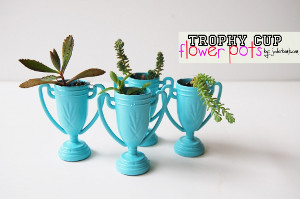 Make a Painted Trophy Pot