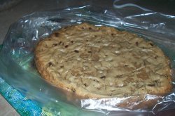 Slow Cooker Chocolate Chip Blondies