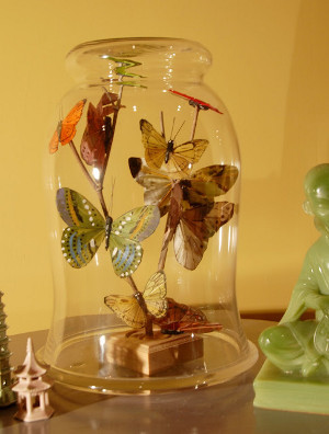Bottled Butterflies