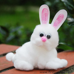 Fluffy Lovey Bunny