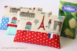 Take Anywhere Tissue Cover