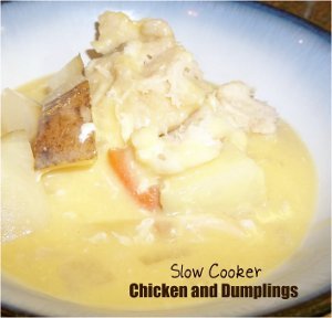 Biscuit Chicken and Dumplings