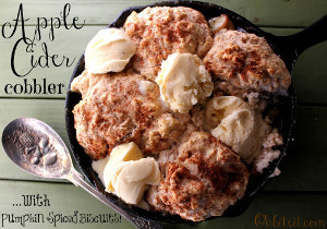 Skillet Apple Cider Cobbler
