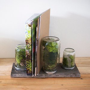 Office Garden Office Garden