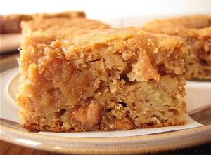 Peanut Butter and Honey Blondies