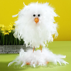 Funny Feathery Chick