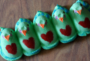 Painted Peacock Peeps