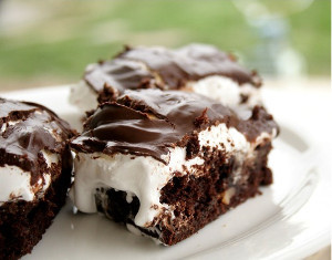 Mississippi Mud Snapping Turtle Brownies
