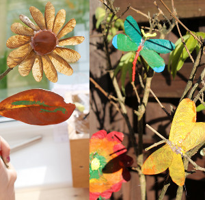 Amazing Maple Seed Nature Scene