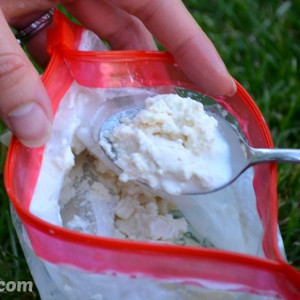 Homemade Ice Cream in a Baggy Homemade Ice Cream in a Baggy