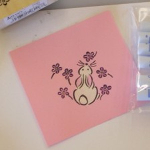 Hippity Hoppity Bleached Card Hippity Hoppity Bleached Card